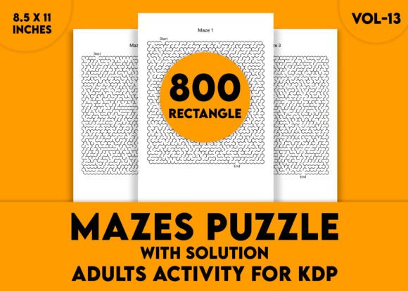Adults Hard Rectangle Maze Puzzle Vol-13